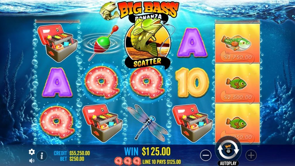 What Is the Big Bass Bonanza App? Let’s Set Sail!